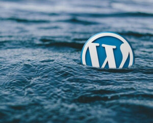 wordpress logo art - wordpress logo in water